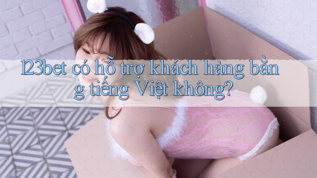 123bet có hỗ trợ khách hàng bằng tiếng Việt không?