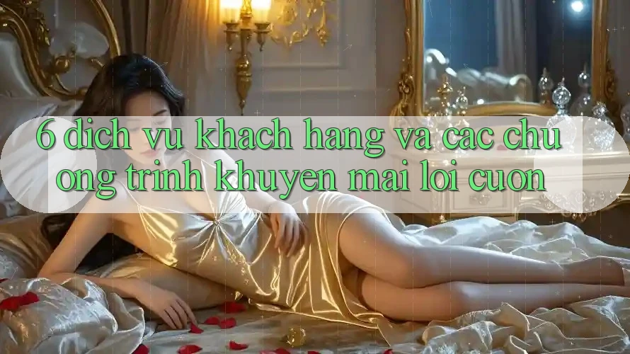 6. Dịch Vụ Khách Hàng Và Các Chương Trình Khuyến Mãi Lôi cuốn
