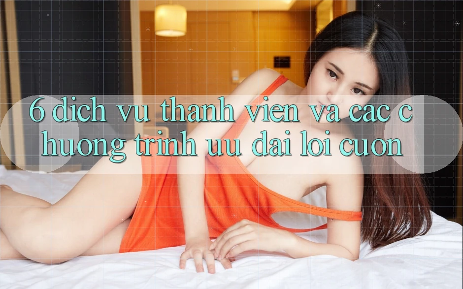 6. Dịch Vụ Thành viên Và Các Chương Trình Ưu đãi Lôi cuốn