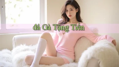 đá gà Tặng tiền