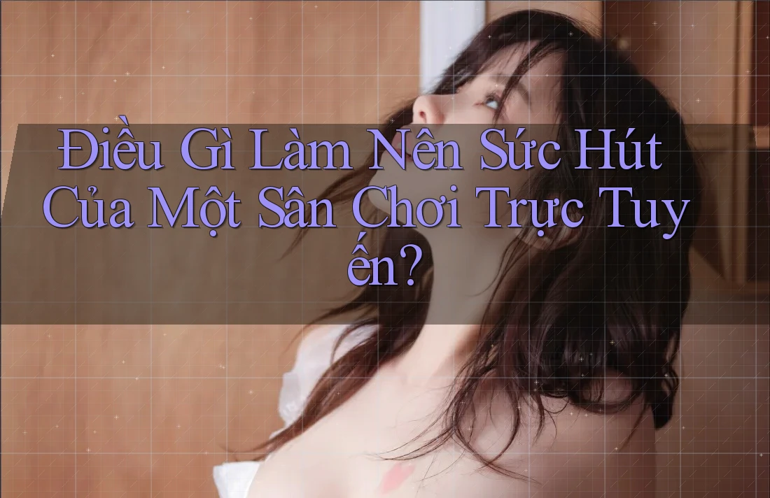 Điều Gì Làm Nên Sức Hút Của Một Sân Chơi Trực Tuyến?