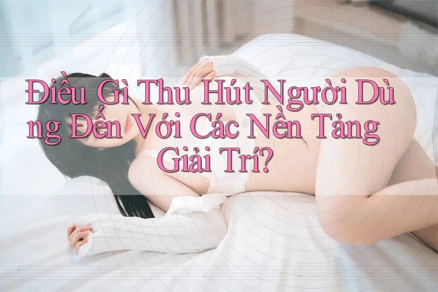 Điều Gì Thu Hút Người Dùng Đến Với Các Nền Tảng Giải Trí?