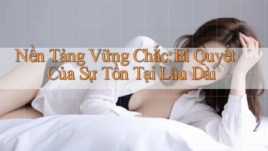 Nền Tảng Vững Chắc: Bí Quyết Của Sự Tồn Tại Lâu Dài