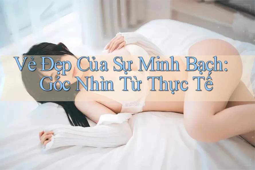 Vẻ Đẹp Của Sự Minh Bạch: Góc Nhìn Từ Thực Tế Vẻ Đẹp Của Sự Minh Bạch: Góc Nhìn Từ Thực Tế
